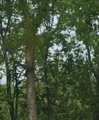 07|大一|西安x平遙x洛陽x壺口|千年一嘆