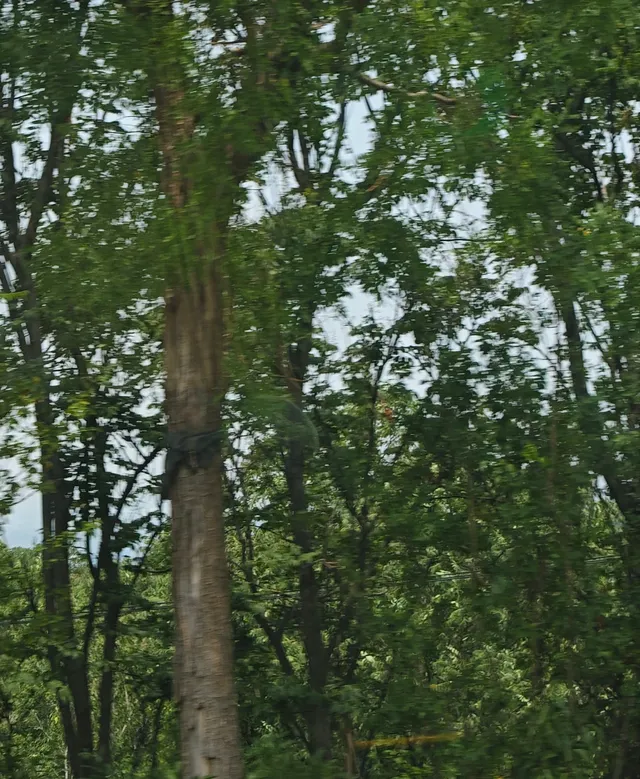 07|大一|西安x平遙x洛陽x壺口|千年一嘆 07|大一|西安x平遙x洛陽x壺口|千年一嘆