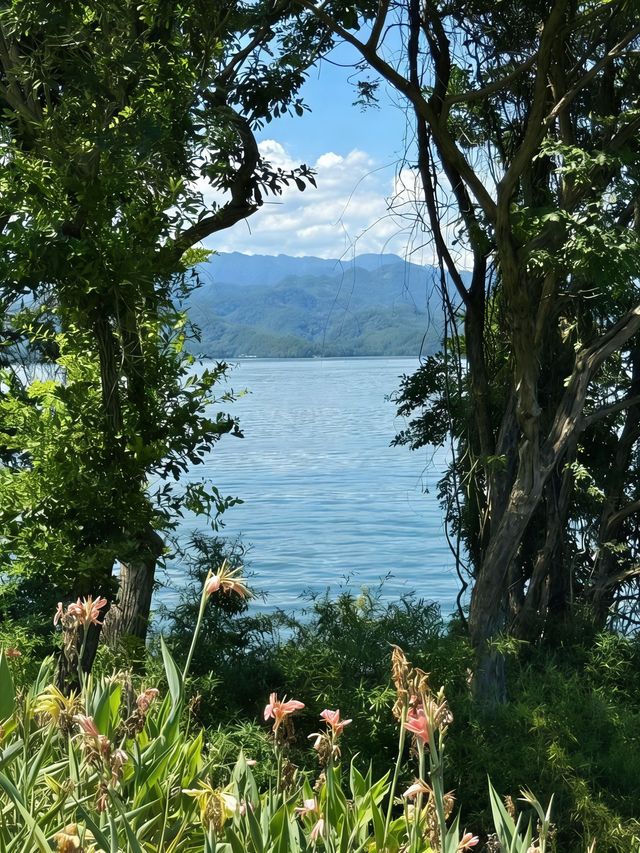 千島湖在我心裡一直是 “躺平度假天花板”