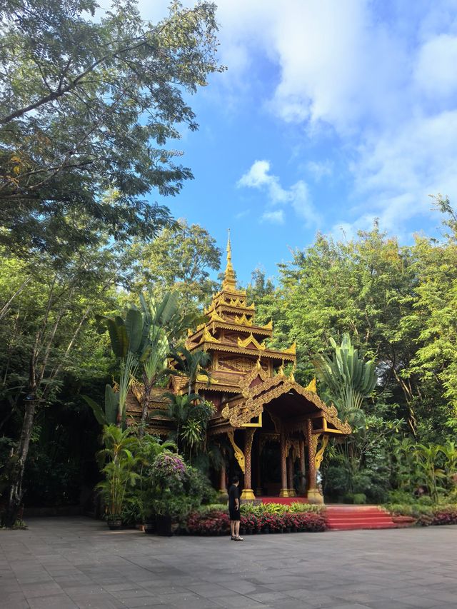 從景邁到西雙版納的姊妹遊 從景邁到西雙版納的姊妹遊