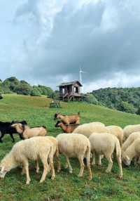 大理風車山!闖進童話牧場