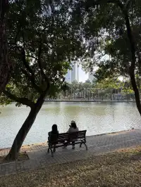 深圳的秋天 請來蓮花山公園大口吸氧吧