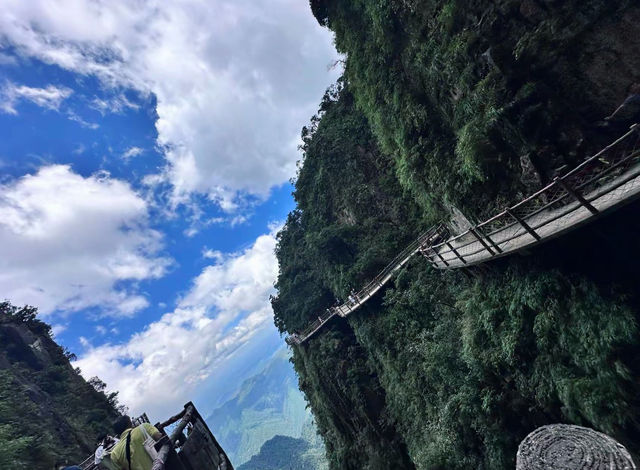 莽山五指峰保姆級攻略雲端漫步,全家輕鬆遊! 莽山五指峰保姆級攻略雲端漫步,全家輕鬆遊!