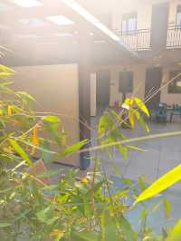 在花坊過上了躺平的日子