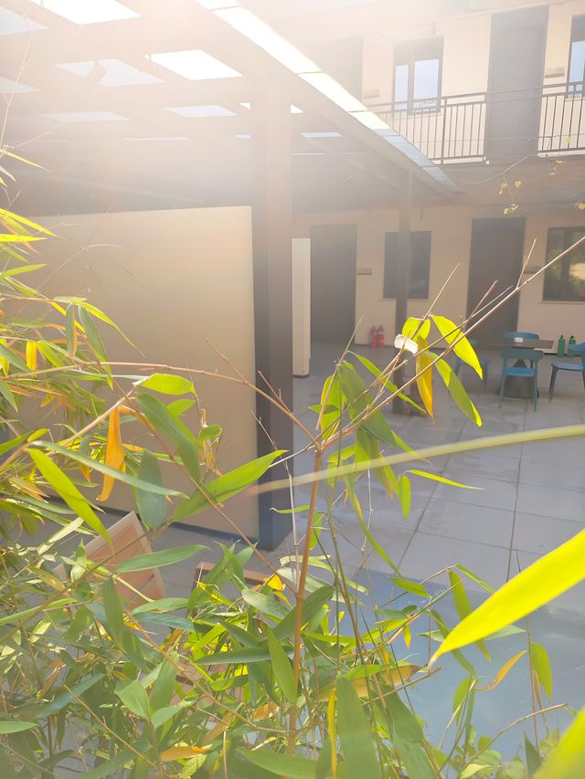 在花坊過上了躺平的日子