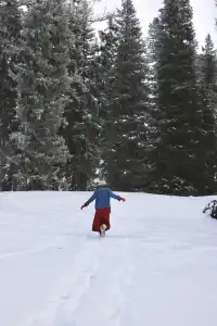 DAY4:喀納斯神仙灣、月亮灣