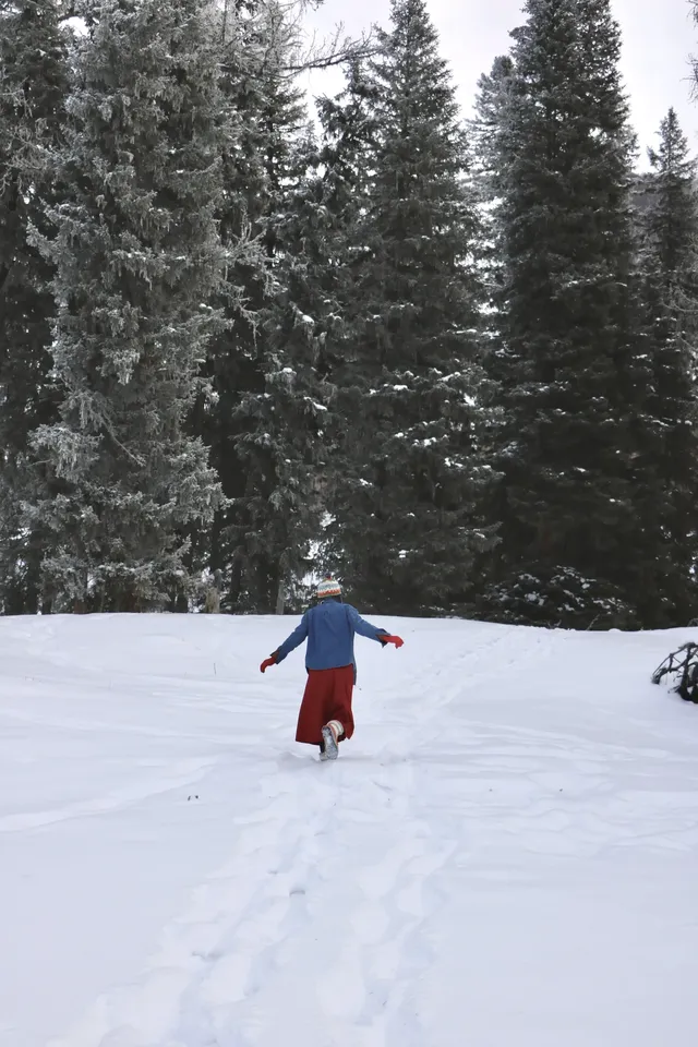 DAY4:喀納斯神仙灣、月亮灣 DAY4:喀納斯神仙灣、月亮灣