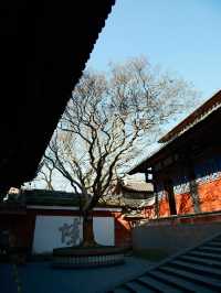 真的冬天樂山-成都之旅太治癒啦