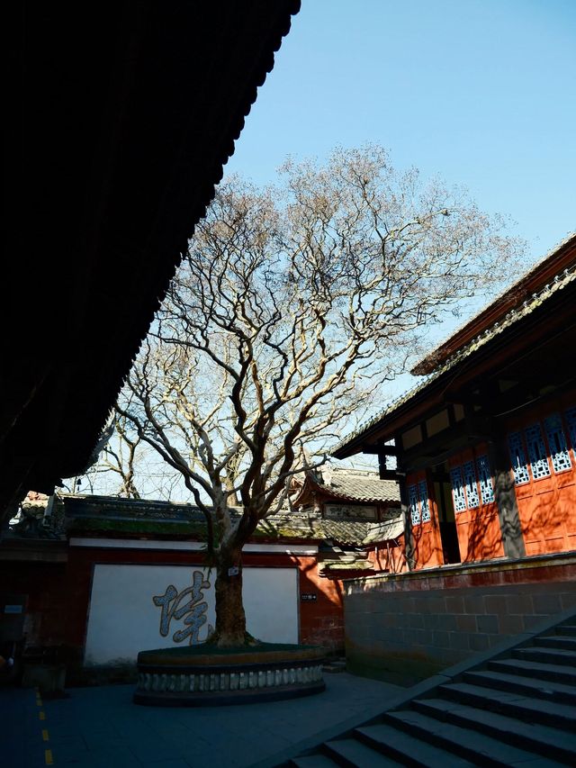 真的冬天樂山-成都之旅太治癒啦