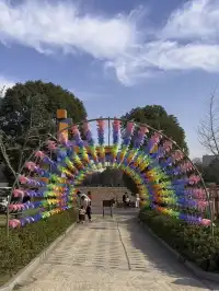 江浙滬遛娃計劃開啟第一站太湖龍之夢