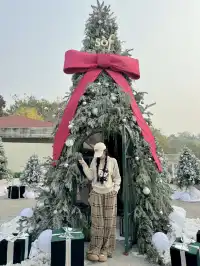 一篇告訴你！半天拍青島個超火聖誕打卡地