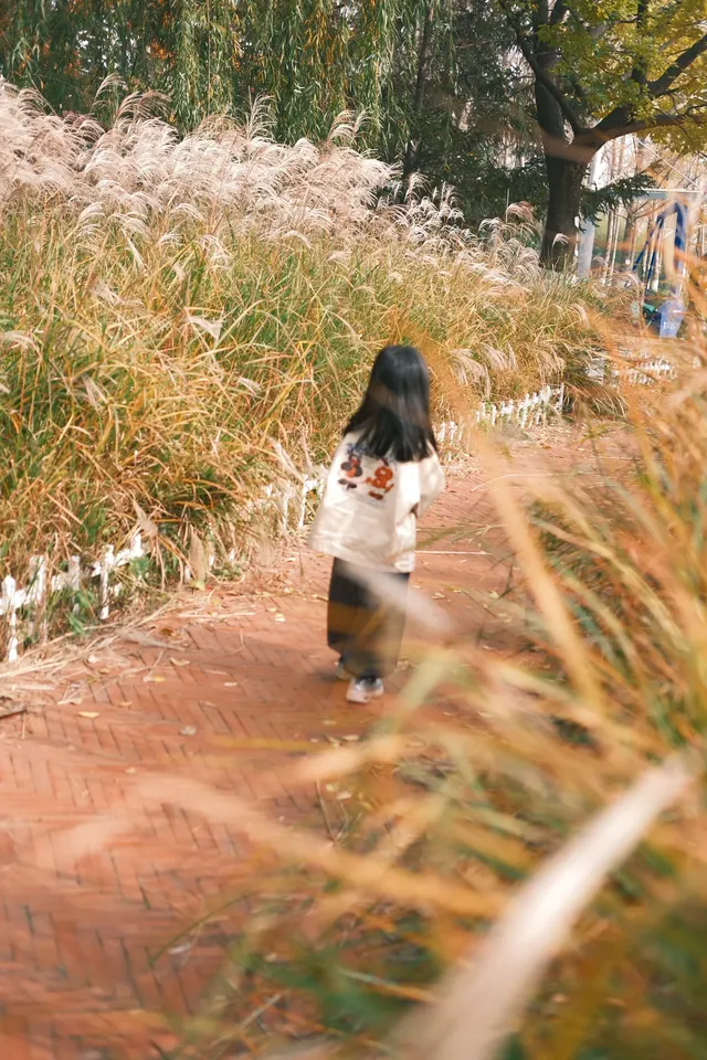 在青島也可以拍到的童話世界