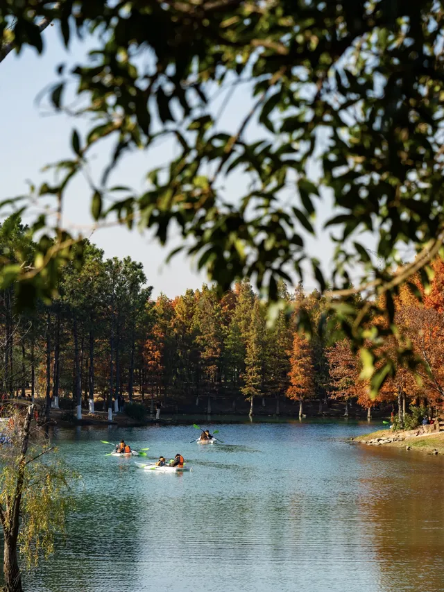 在常州!虎丘同款網紅玻璃船,絕美! 在常州!虎丘同款網紅玻璃船,絕美!