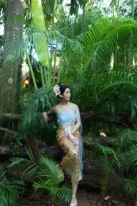 12 月來西雙版納第二天就出片了