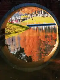 接下來的武漢，一定別錯過處絕美紅杉林