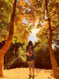 大棠楓香林.你沒看錯.這是香港的楓葉林喔