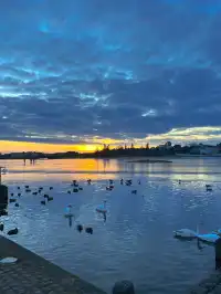 冰島|Reykjavik Day 半日City Walk