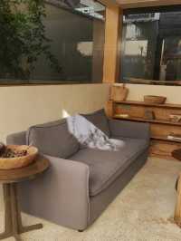 大理沐嵐｜在洱海邊找到秋天的童話秘境