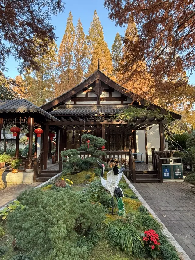 Shanghai Botanical Garden's Winter Sunset