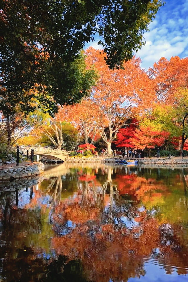 上海魯迅公園｜秋日限定！紅葉與暖陽的絕美約會地