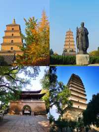 是誰還沒有去過大雁塔高鐵直達