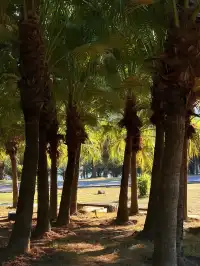 不敢相信這是泉州!?發現適合發呆躺平的好去處