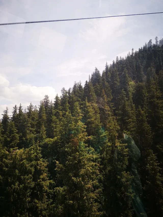 喀納斯地質公園～新疆