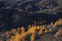 稻城亞丁|秋天一定要走這條新手友好路線!