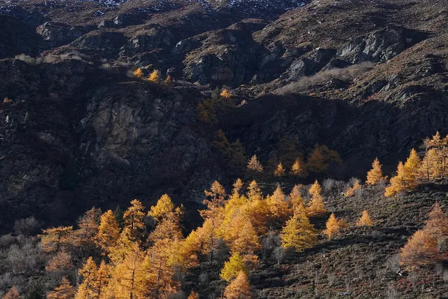 稻城亞丁|秋天一定要走這條新手友好路線! 稻城亞丁|秋天一定要走這條新手友好路線!