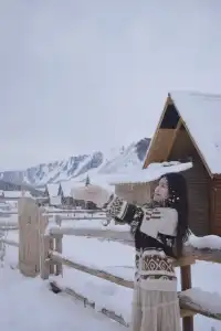 是誰在禾木住進了夢中情屋人均300+