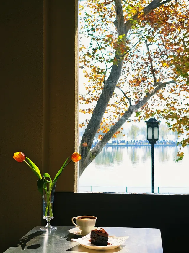 杭州紅楓反向線|3h拍爆西湖秋景~ 杭州紅楓反向線|3h拍爆西湖秋景~