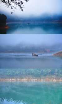 郴州資興|在森林裡遇見了東江湖晨霧