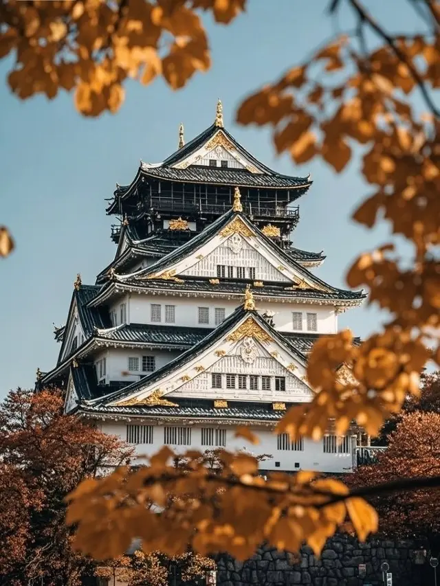 12.26日本旅遊現狀,真的崩潰了