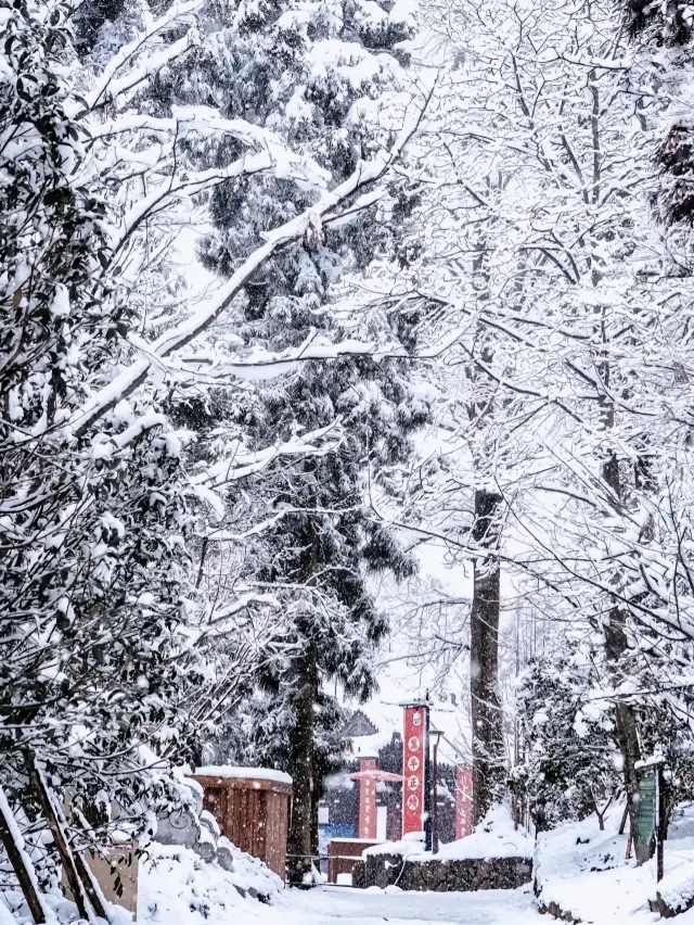 杭州新年看雪丨26年元旦可能見到雪西湖