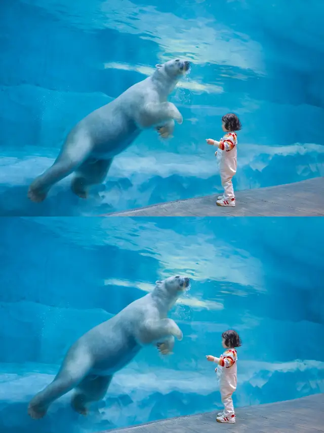 Zhuhai Chimelong Photography Service Zhuhai Chimelong Spaceship Park Photography Service