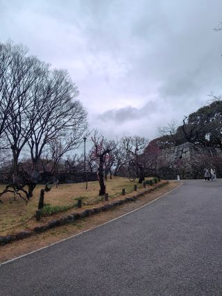 Маршрут по Кюсю на 8 дней