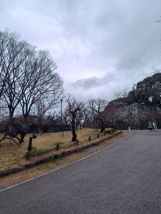 Kyushu 8-Day Itinerary