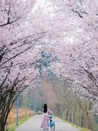 Hanfu Flower Viewing in Chengdu Get