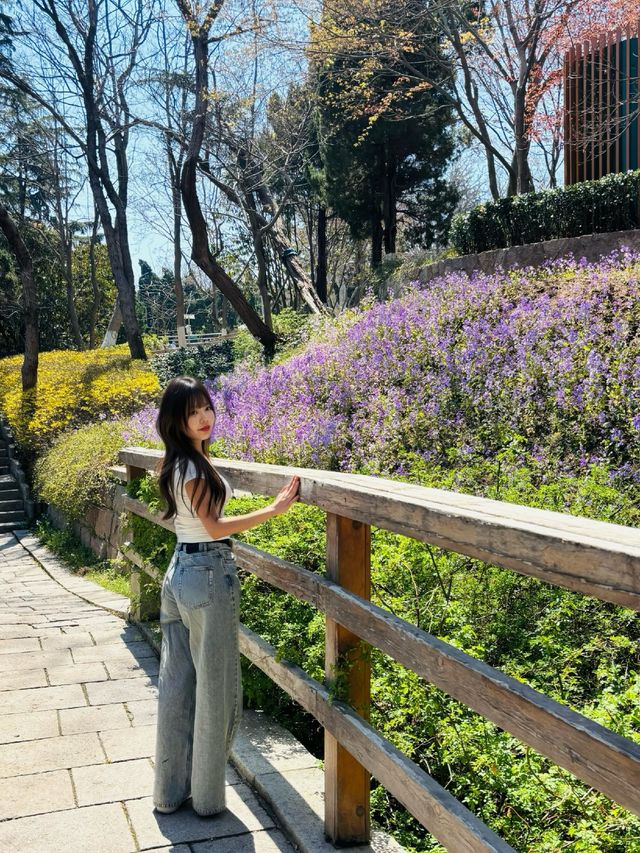 🫣🫣青島4月｜ 青島 