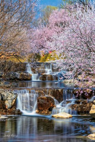 国家植物園桃花渓の春景はまるで絵画のよう