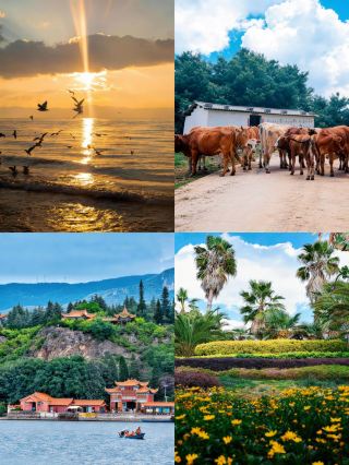Unveiling Yunnan Locals' Secret Backyard: A 3-Day 2-Night Fuxian Lake Loop Guide