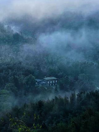 蜀南竹海に足を踏み入れた瞬間、まるで仙境「緑の妖精の世界」に迷い込んだかのよう、本当に素晴らしい！