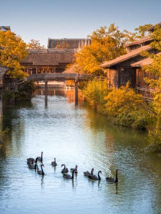 Puyuan ancient town! This inn is stunningly beautiful