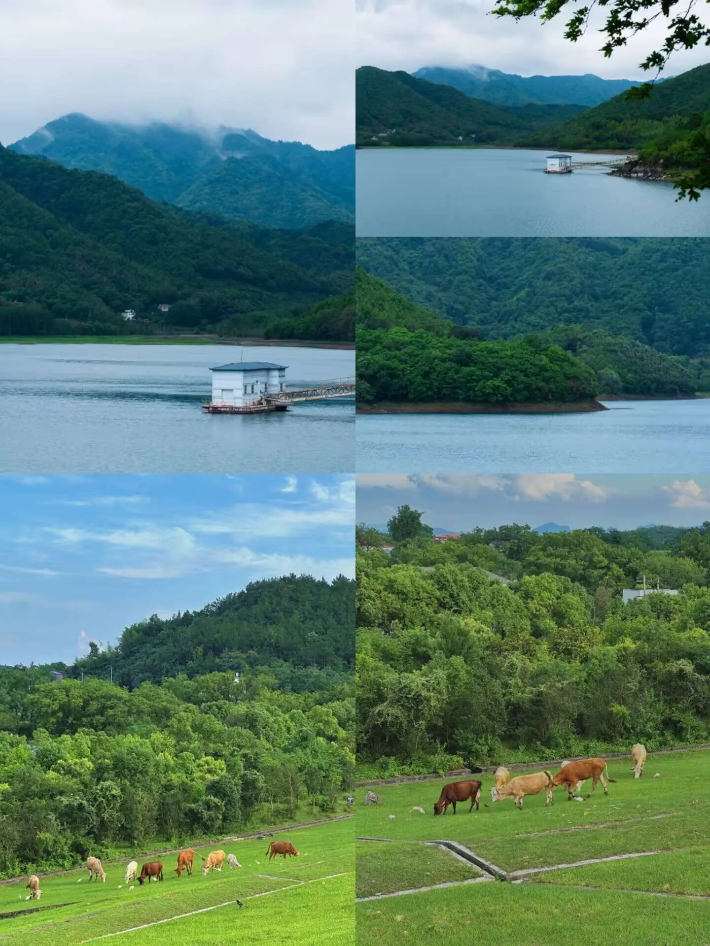 Chỉ mất 1 giờ đi tàu cao tốc để rời khỏi Hợp Phê đến thị trấn yên bình, ít người biết đến này – ít đông đúc, xinh đẹp và ít ồn ào náo nhiệt hơn. Mệt mỏi với sự ồn ào náo nhiệt của trung tâm thành phố Hợp Phê? Hãy đến viên ngọc ẩn này để tận hưởng kỳ nghỉ cuối tuần.