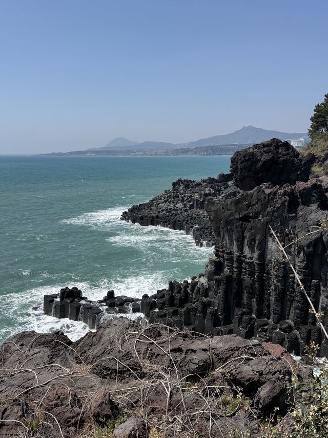 濟州島五日行:山海皆溫柔,幸有小木伴 濟州島的旅程,是一場被海風與暖意包裹的治癒之旅,而導遊小木的