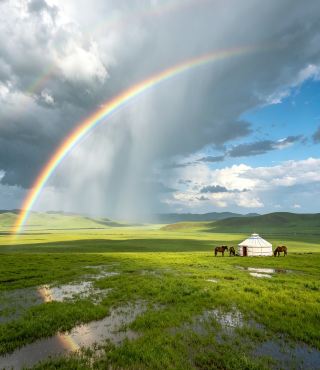 Back from Hulunbuir, my summer is forever kept by the grasslands