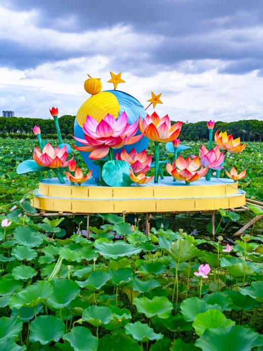 江浙沪最大の蓮の花公園、千メートルの桟橋、没入型の蓮鑑賞！ | Trip