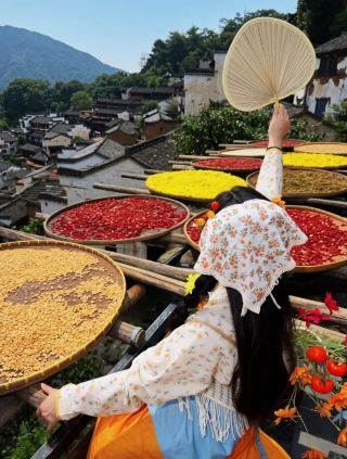 Two-day trip to Wuyuan Huangling | Staying at Chuxin Villa, embracing the rustic charm of Huizhou