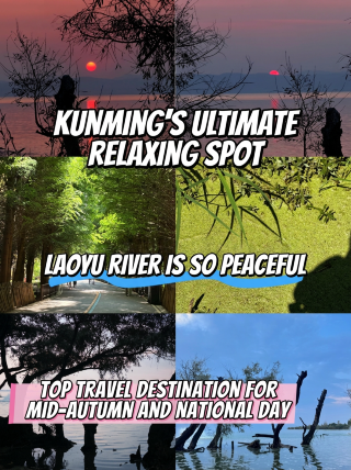 The ultimate healing spot in Kunming | Laoyuhe is so soothing