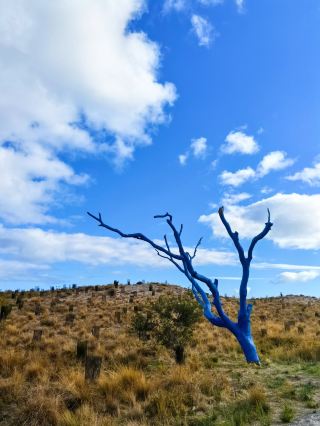 8-Day Australia Getaway | The Ultimate Guide